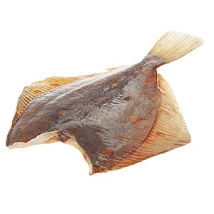 Камбала с/м